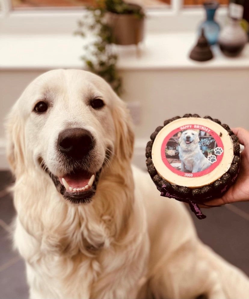 Personalised dog hot sale cake