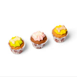 Easter Mini Iced Trios