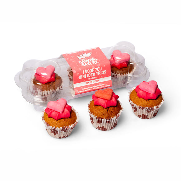 I Woof You Valentines Mini Iced Trios