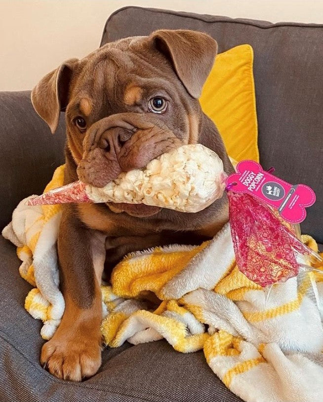 The Barking Bakery Doggy Cheesey Pupcorn Bag